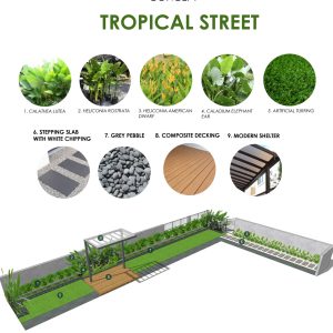 Tropical Street